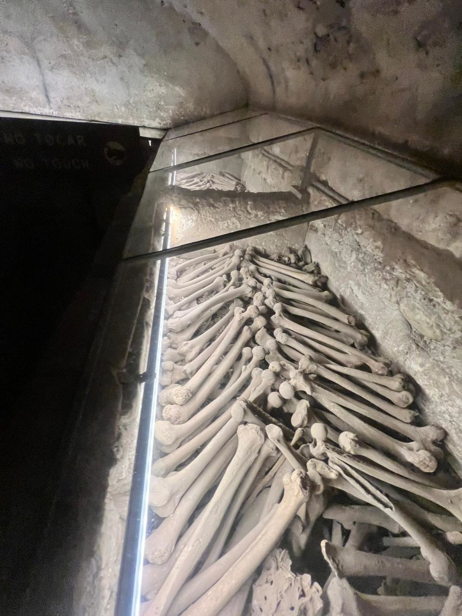 Lima City Tour & Catacombs - Image 12