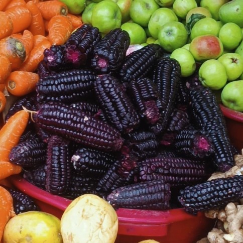 Lima Street Food Tour